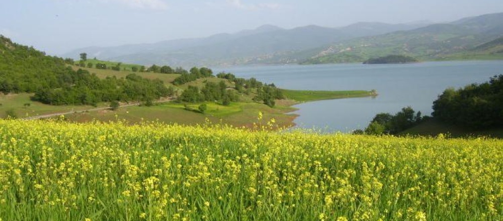 Almus Baraj Gölü