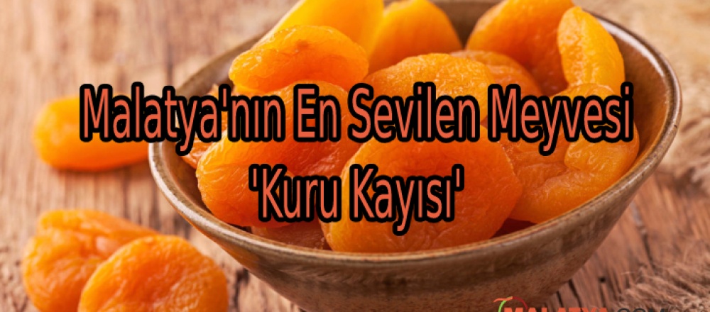 Malatya'nın En Sevilen Meyvesi 'Kuru Kayısı'