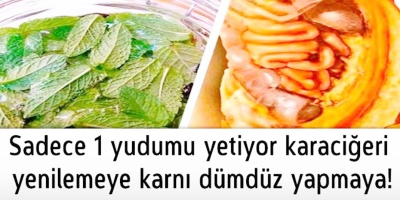 Yalnızca 1 yudumu yetiyor karaciğeri yenilemeye karnı dümdüz yapmaya!