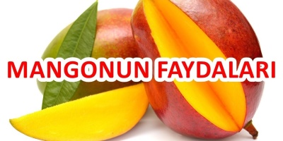 Mangonun 4 Faydası