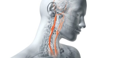 Bu 5'li Hayat Kurtarıyor