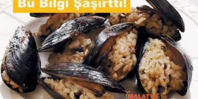 Midye Dolmanın Faydaları