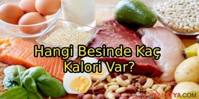 Hangi Besinde Kaç Kalori Var