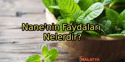 Nane'nin Faydaları Nelerdir?