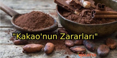 Kakaonun İnanılmaz Faydası