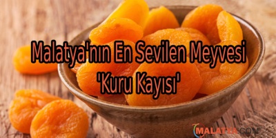 Malatya'nın En Sevilen Meyvesi 'Kuru Kayısı'