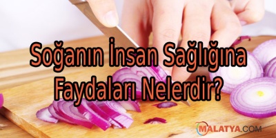 Soğanın İnsan Sağlığına Faydaları Nelerdir?