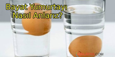 Yumurta'nın Bayat Olduğunu Nasıl Anlarız?