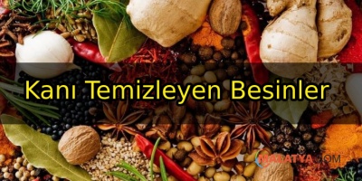 Kanı Temizleyen Besinler