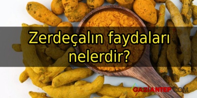 Zerdeçalın faydaları nelerdir?