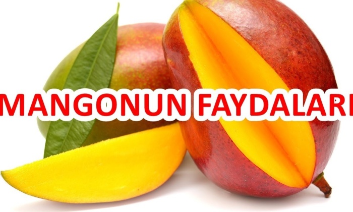 Mangonun 4 Faydası