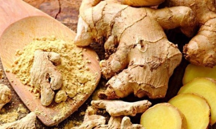 Zencefilin faydaları