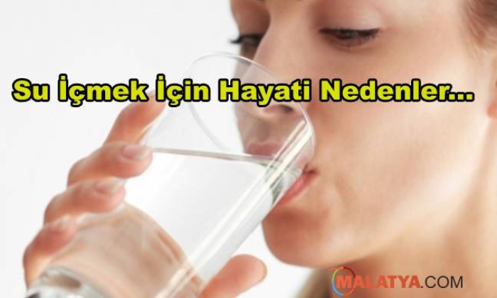 Su İçmek İçin Hayati Nedenler