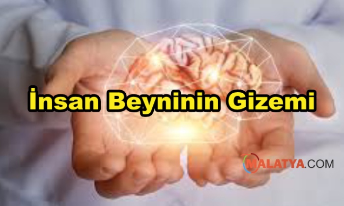 İnsan Beyninin Gizemi