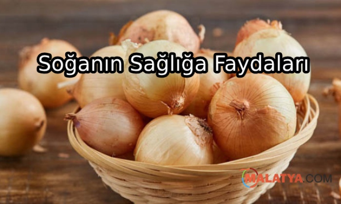 Soğan Tüketmenin Faydaları
