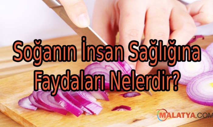 Soğanın İnsan Sağlığına Faydaları Nelerdir?