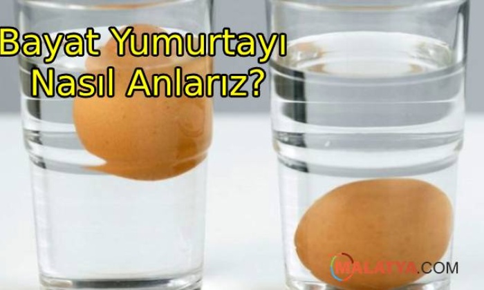 Yumurta'nın Bayat Olduğunu Nasıl Anlarız?