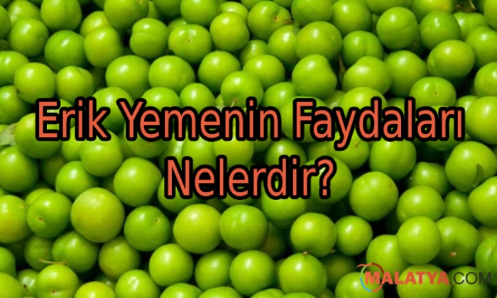 Erik Yemenin Faydaları Nelerdir?