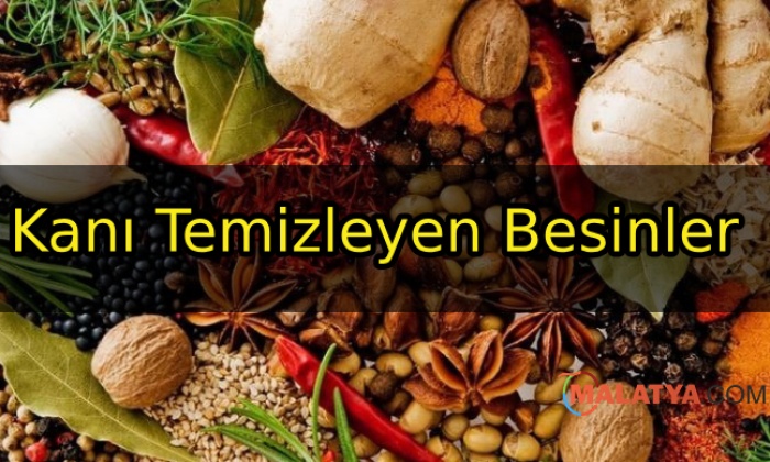 Kanı Temizleyen Besinler