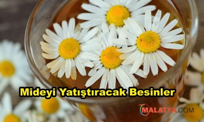 Mideyi Yatıştıracak Besinler