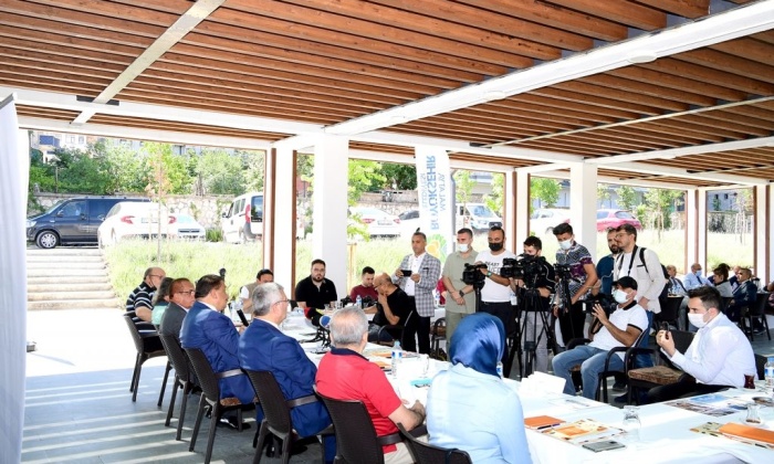 Kayısı Festivali