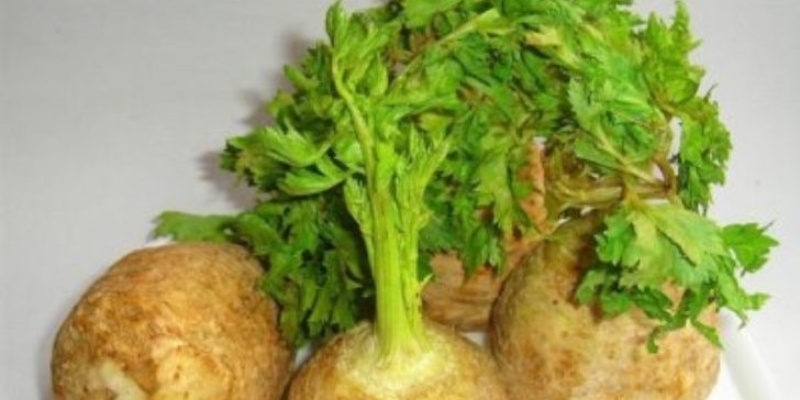 Kerevizin Faydaları nelerdir?