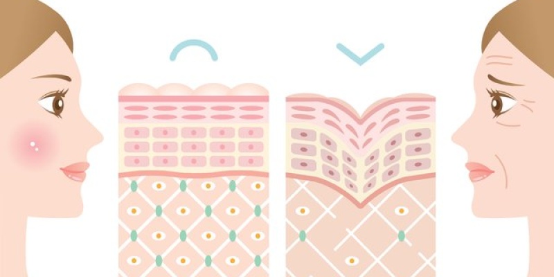 Yanak Sarkmasına Bitkisel Çözüm