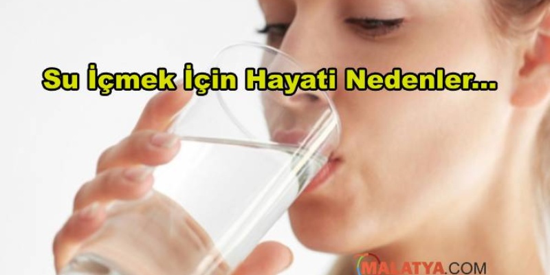 Su İçmek İçin Hayati Nedenler
