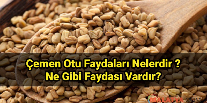 Çemen Otu Tohumunun Faydaları
