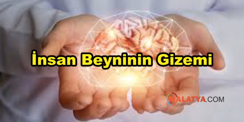 İnsan Beyninin Gizemi