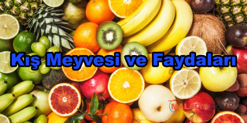 Kış Meyvesi ve Faydaları