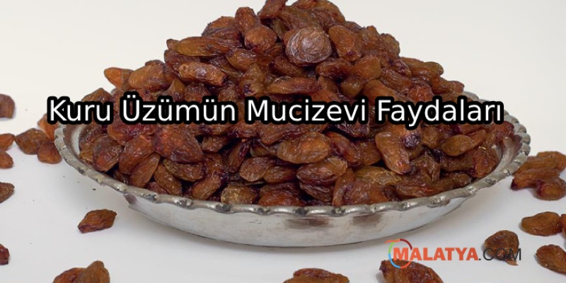 Günlük Kuru Üzüm Tüketmenin İnsan Sağlığına Faydası