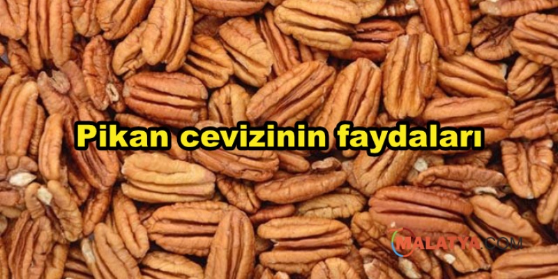 Pikan cevizinin faydaları