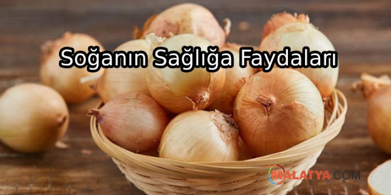 Soğan Tüketmenin Faydaları