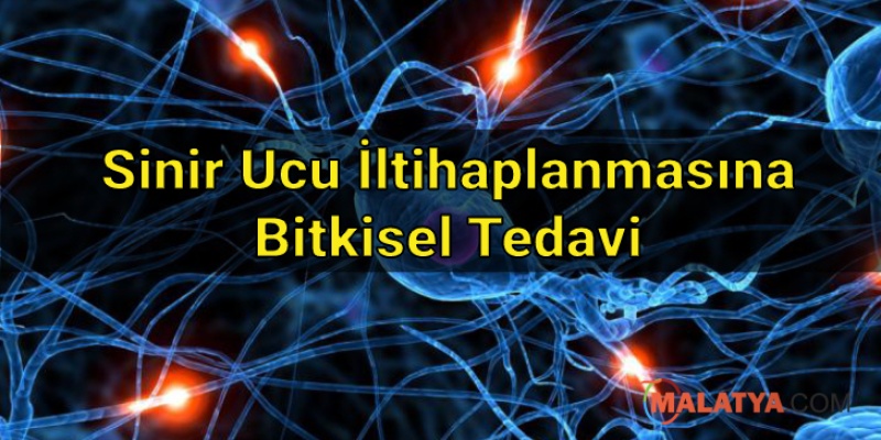 Sinir Ucu İltihaplanmasına Bitkisel Tedavi