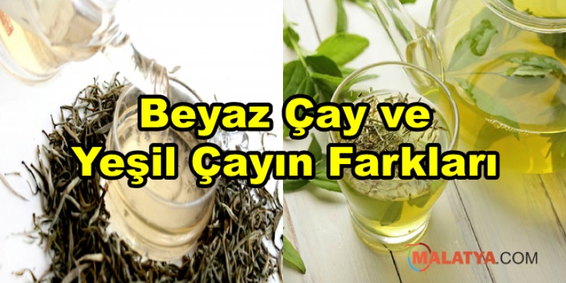 Beyaz Çay ve Yeşil Çayın Farkları