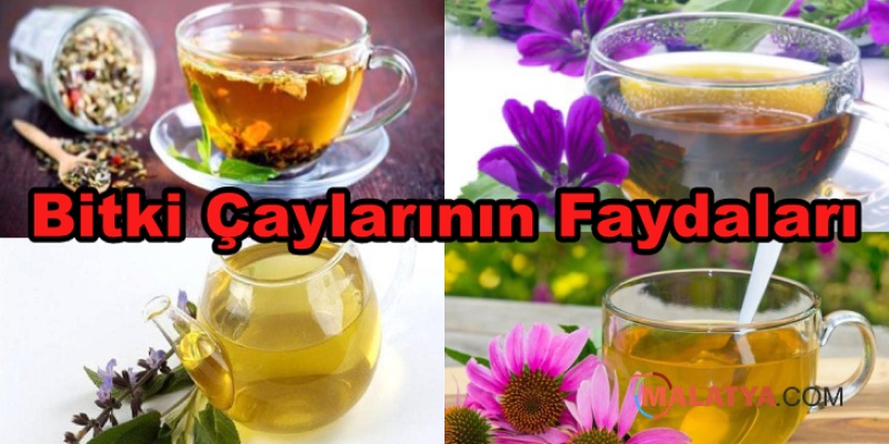 Bitki Çaylarının Faydaları