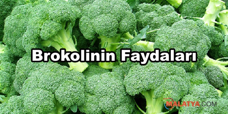 Brokolinin Faydaları