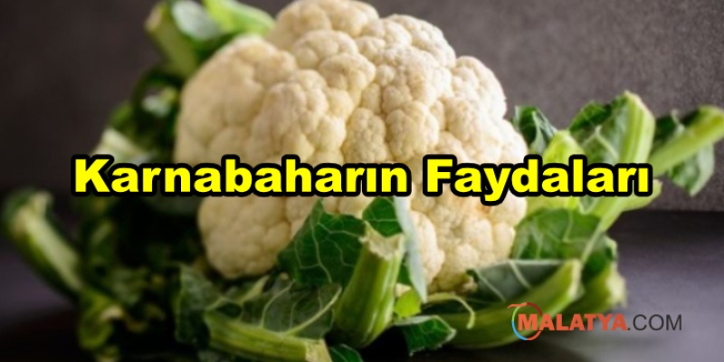Karnabaharın Faydaları