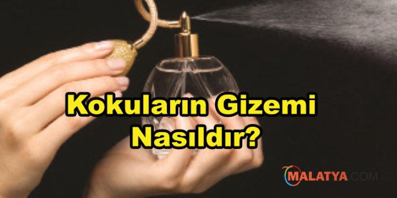Kokuların Gizemi Nasıldır?