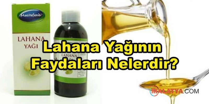 Lahana Yağının Faydaları Nelerdir?