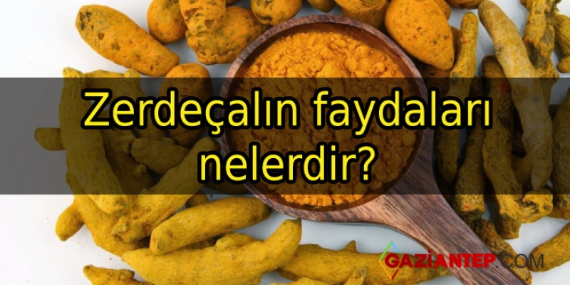 Zerdeçalın faydaları nelerdir?