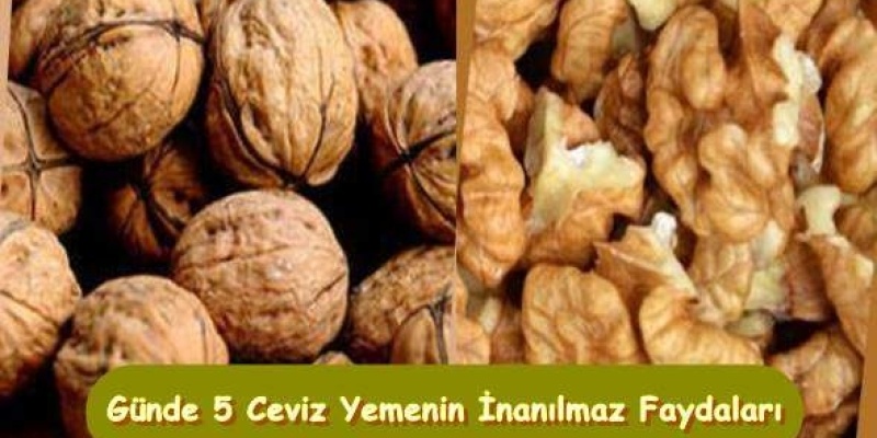 Cevizin İnanılmaz Faydaları